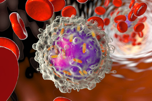 Leukaemia white blood cell with mitochondria, 3D illustration. Mitochondrial metabolism is a potential therapeutic target in leukaemia - Photo, Image