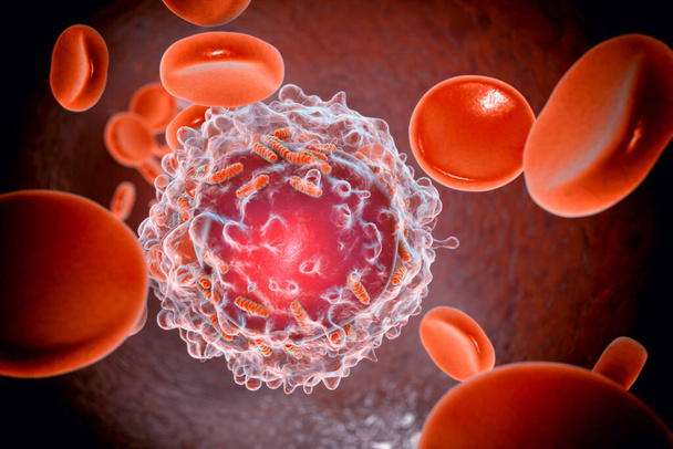 Лейкемия лейкоцитов с митохондриями, 3D иллюстрация. Митохондриальный метаболизм является потенциальной терапевтической целью при лейкемии - Фото, изображение