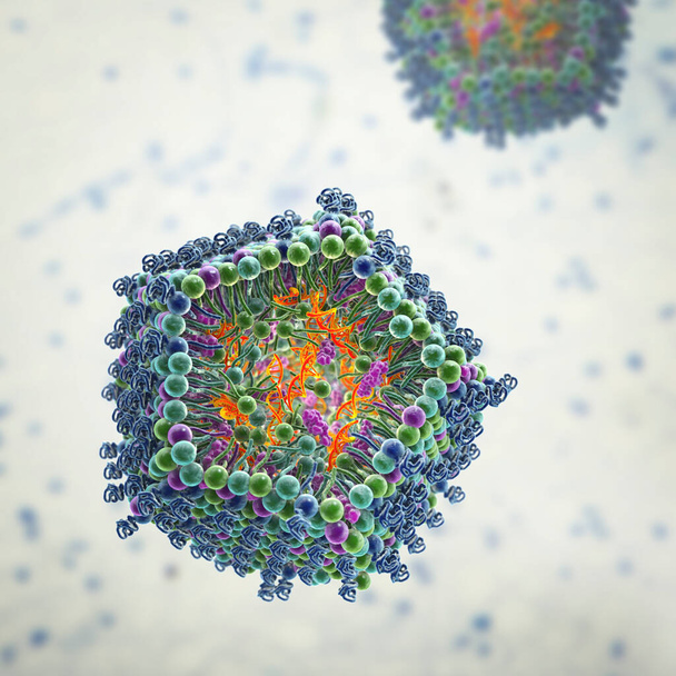 Lipid nanorészecskék siRNA szállítási rendszer. Egyfajta vírusellenes gyógyszer, amit Covid-19 ellen használnak. A vírus siRNS-ét hordozó lipid nanorészecskék keresztmetszetét ábrázoló 3D-s ábra (narancs) - Fotó, kép
