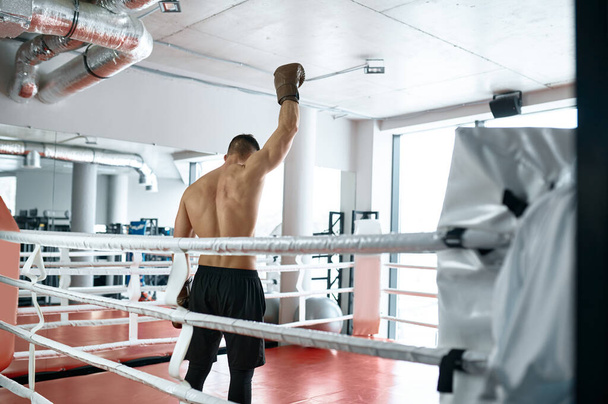 View from back on shirtless muscular boxer with raised hand wearing boxing glove in victory gesture - Фото, изображение