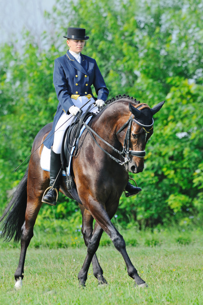 Advanced Dressage test: collected trot - Photo, Image