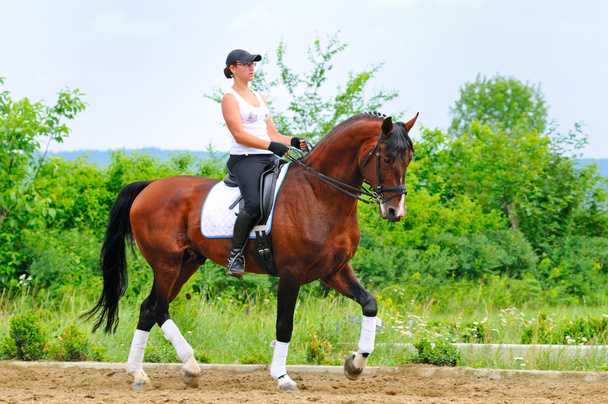 Κορίτσι στον κόλπο εκπαιδεύσεων αλόγου σε περιστροφές επιβήτορα - Φωτογραφία, εικόνα