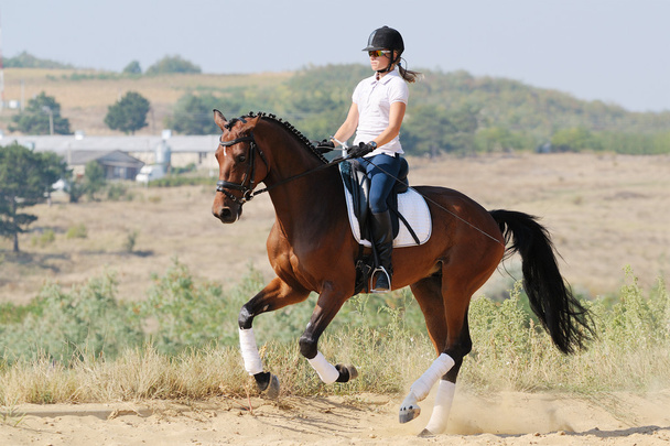 Equestrianism: cavaleiro na baía dressage cavalo, vai galope
 - Foto, Imagem