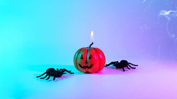 Halloween spider. Scary spooky pumpkin, black night spider on night neon helloween background. Happy Halloween concept. Frame. Copy space - Photo, Image