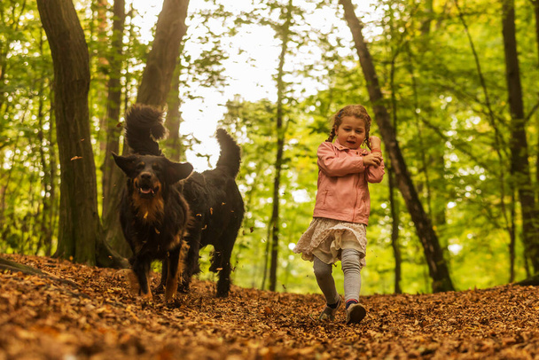 beautiful girl with a dog in the park - Zdjęcie, obraz