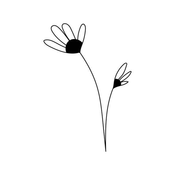 Illustration of a flower, silhouette of a twig with flowers and leaves. Vector illustration. Floral print. - ベクター画像