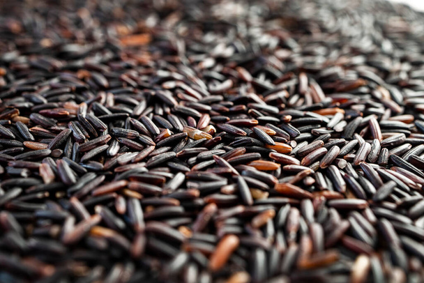 Musta riisi, joka tunnetaan myös nimellä violetti riisi tai kielletty riisi. Orgaaniset kiillottamattomat mustat riisinjyvät monimutkaisten hiilihydraattien lähteenä ja runsaasti antioksidantteja.   - Valokuva, kuva