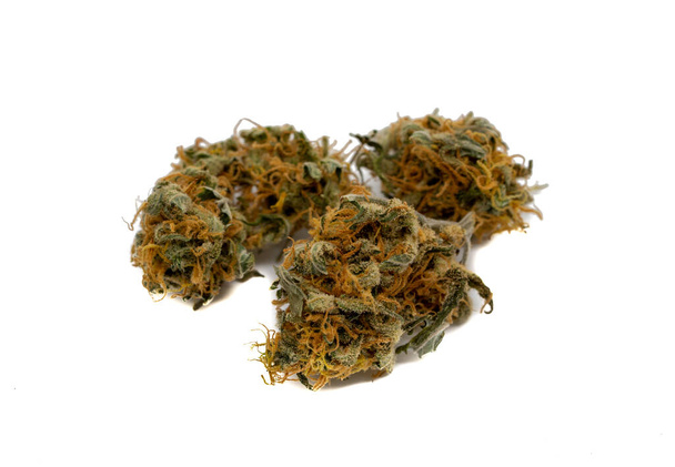 dried cannabis flower isolated on white background - Fotografie, Obrázek