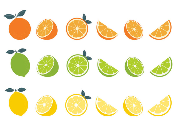 Большой векторный набор цитрусовых фруктов. Оранжевый, лимонный и лаймовый иконки на белом фоне. - Вектор,изображение
