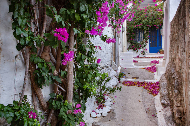 Smalle en kleurrijke straat in het dorp Kritsa op Kreta. Witte straat, prachtige traditionele huisvesting in Griekenland.  - Foto, afbeelding