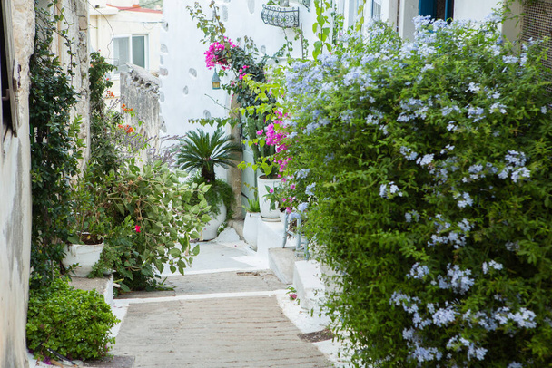Smalle en kleurrijke straat in het dorp Kritsa op Kreta. Witte straat, prachtige traditionele huisvesting in Griekenland.  - Foto, afbeelding