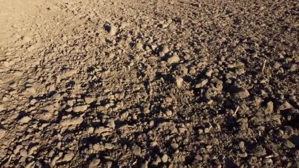 Flying over the plowed fields of black soil on sunny autumn day. Fields black soil close-up. Farming countryside rural. Digged agrarian agricultural earth fields. Plowed lands. Dug up ground farmlands - Footage, Video