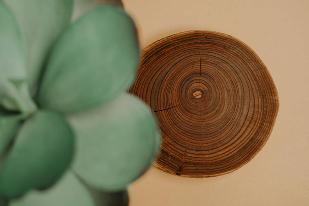 Vista superior de la rebanada de madera como espacio de copia para un producto - Foto, imagen