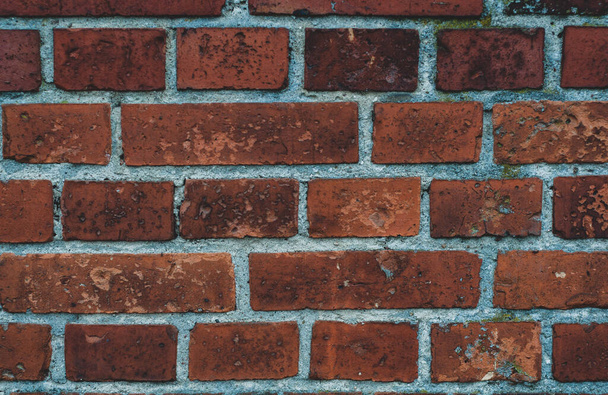 vieux mur de briques rouges texture fond. - Photo, image