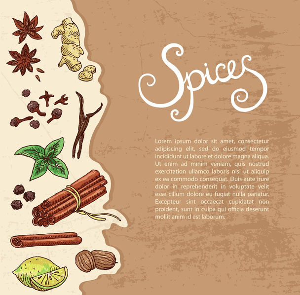 Hand-drawn spices border - Vector, Imagen