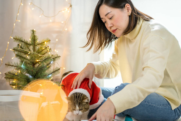 Asyalı kadın gülümsedi ve mutlu oldu Noel ağacını kedisiyle süsledi. - Fotoğraf, Görsel