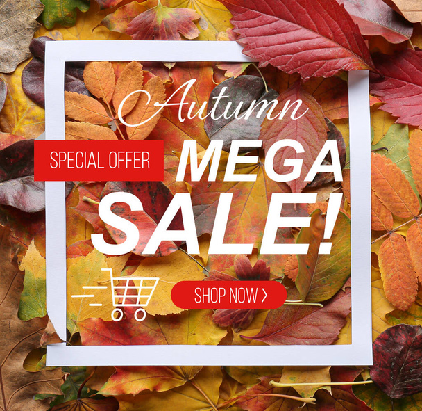 Affiche pour la vente d'automne avec de nombreuses feuilles  - Photo, image