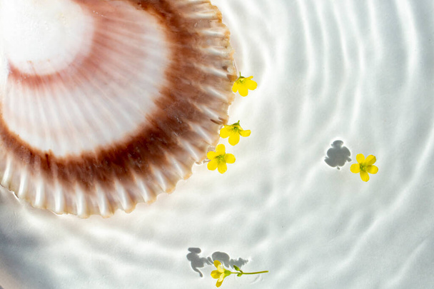 Sea shell in the corner and little yellow flowers on water wave shadows pattern, abstract backdrop, close up - Photo, Image