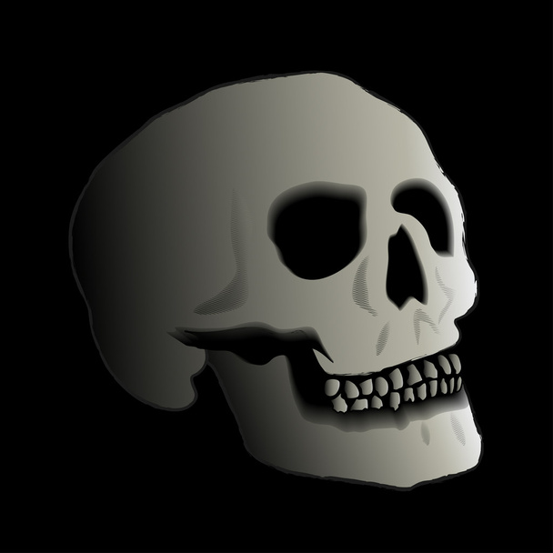 cráneo y huesos cruzados
 - Vector, Imagen