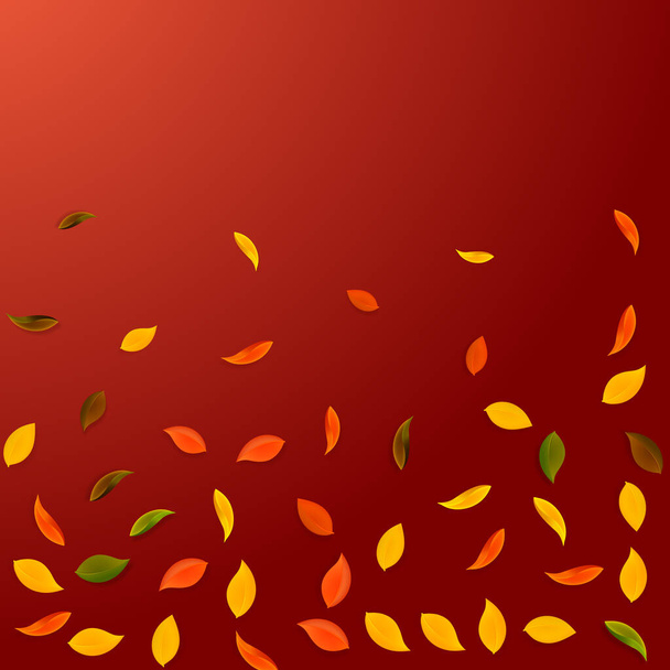 Falling autumn leaves. Red, yellow, green, brown random leaves flying. Falling rain colorful foliage on juicy red background. Breathtaking back to school sale. - Вектор, зображення