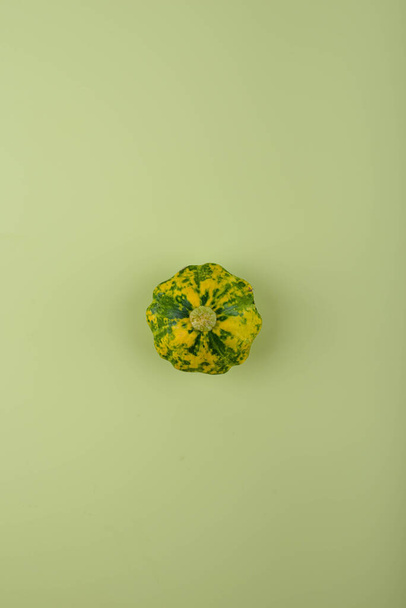 Abóbora verde no fundo verde. Conceito de colheita - Foto, Imagem