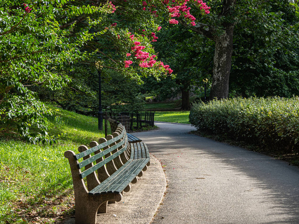 Central Park στη Νέα Υόρκη το καλοκαίρι - Φωτογραφία, εικόνα