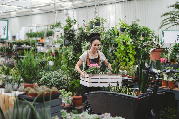 Woman working in a garden center - Foto, Imagen