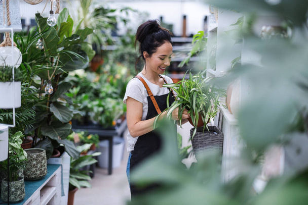 Woman working in a garden center - Photo, image