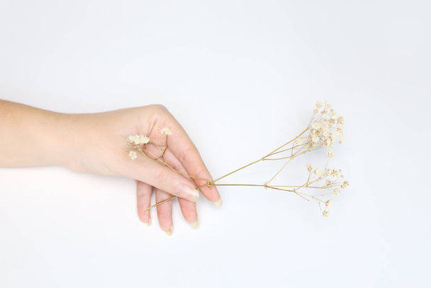 Yazın defocus moda sanatçısı kadın ve elinde çiçekler. Beyaz arka planda uzun tırnakları olan kadınların elleri. Nazik beyaz çiçeği tutan kadın eli. Odaklanamıyorum. - Fotoğraf, Görsel