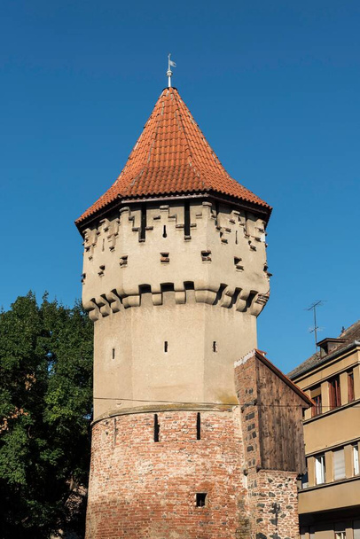 Coopers or Carpenters' Tower, Turnul Dulgherilor, Sibiu, Romania, Europe - Foto, immagini