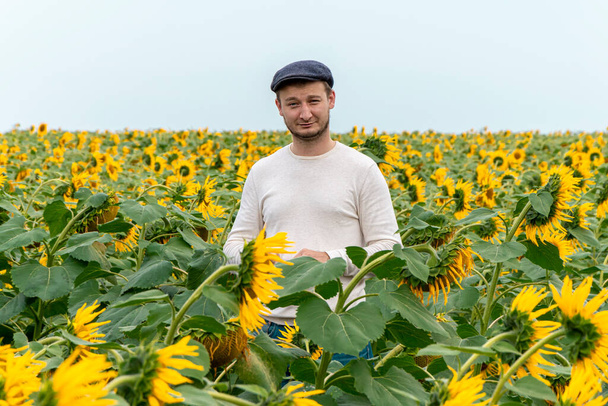 Şapkalı 35-38 yaşındaki bir adam ayçiçeklerinin ortasında duruyor. Kavram: ayçiçeği hasadı, tarlada tarım uzmanı. - Fotoğraf, Görsel