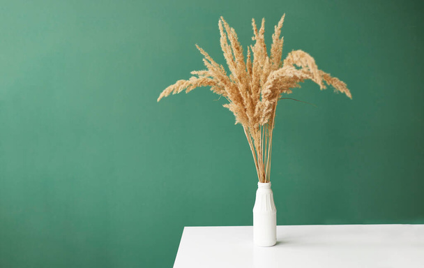 Branches of pampas grass in vase on green background. interior decoration. copy space - 写真・画像