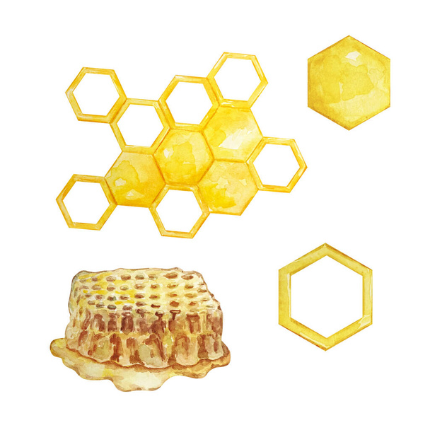 Watercolor honey set, different honeycombs on a white background - Фото, изображение
