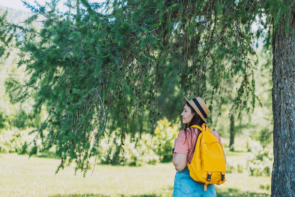 Girl traveler in a hat and a backpack standing next to a larch. - Foto, Bild