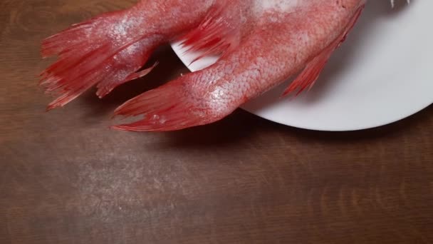 Два замороженных туши красной рыбы без головы, покрытые инеем - Кадры, видео