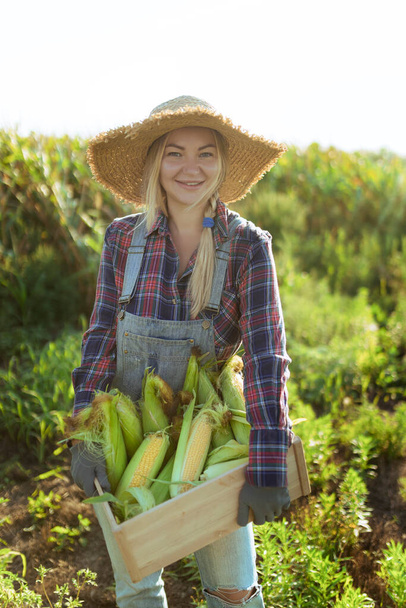 Corn. Young farmer woman smiling and harvesting corn. A beautiful woman on the background of the field holds the cobs of corn. Agriculture and horticulture.  - Fotografie, Obrázek