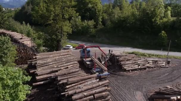 Načítání naskládané dřevo pro dopravu - Záběry, video