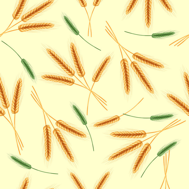 Realistyczna ilustracja roślin nasiennych, rolnictwa ekologicznego.Płynny wzór dojrzałych kolców pszenicy z ziarnami, uszami i łodygami. - Wektor, obraz
