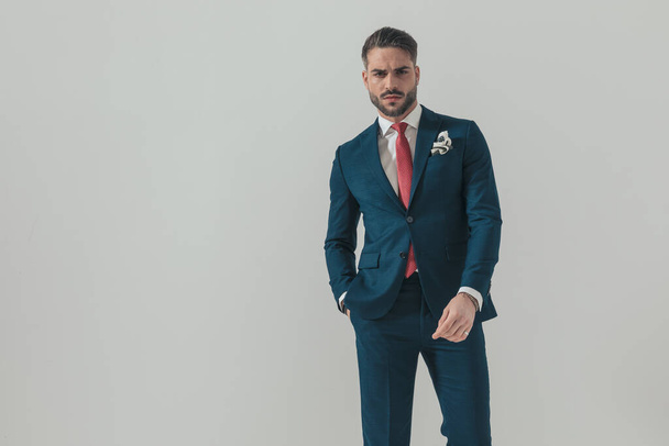 portrait of cool bearded guy wearing elegant suit and holding hand in pocket posing in front of grey background in studio - Photo, Image