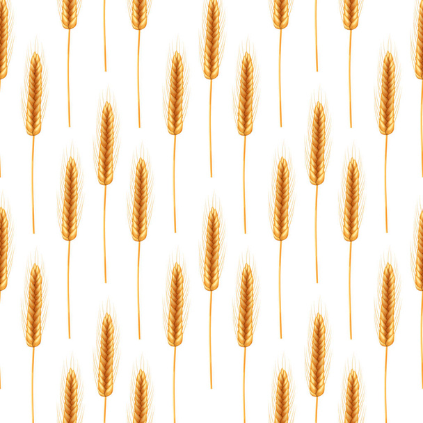 Ilustración realista de las plantas de semillas, agricultura ecológica. Patrón inconsútil de espiguillas maduras de trigo con granos, espigas y tallos. - Vector, Imagen