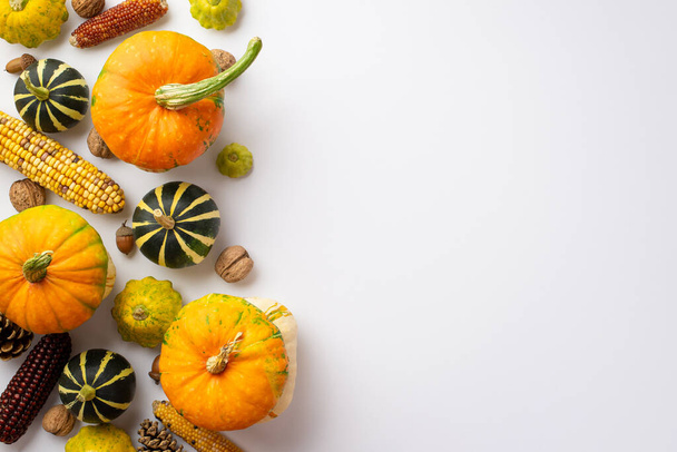 Autumn harvest concept. Top view photo of raw vegetables pumpkins corn pattypans walnuts acorns and pine cones on isolated white background with empty space - Foto, afbeelding
