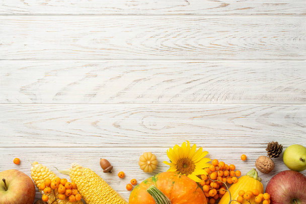 感謝祭の日のコンセプト。生野菜のトップビューカボチャズッキーニリンゴ梨トウモロコシひまわりクルミ松コーンアコーンと空のスペースと隔離された白い木製のテーブルの背景に漕ぎ - 写真・画像