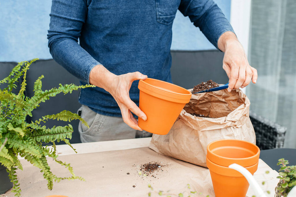 Руки садовника-мужчины, который пересаживает растения, наливает груэ в цветочный горшок. Малый цветочный бизнес, садоводство домов и офисов - Фото, изображение