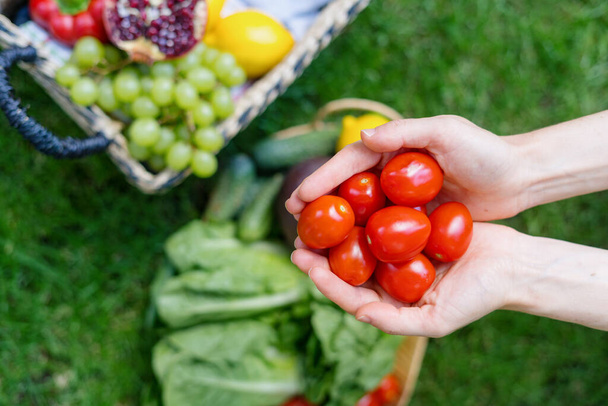 conceito de colheita de frutas e legumes. close-up de agricultor mãos femininas mostrando tomates maduros vermelhos no jardim no fundo borrado, vista superior. publicidade de produtos agrícolas locais - Foto, Imagem