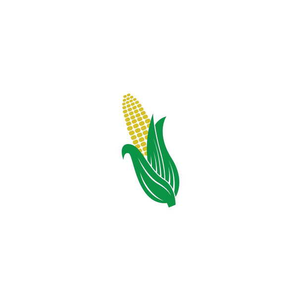 Modelo de ilustração de logotipo de ícone de milho doce - Vetor, Imagem