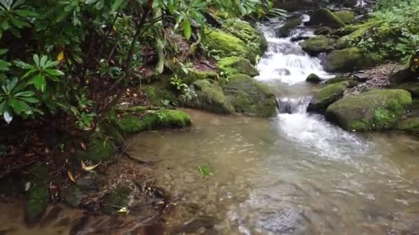 Ascendiendo sobre un pequeño arroyo y cascada en el bosque Smoky Mountains de Carolina del Norte - Imágenes, Vídeo