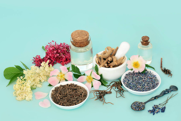 Homeopathic preparation of alternative herbal plant medicine. Valerian root, lavender, elder flower, wild rose and ginseng. Natural healing calming anxiety reducing remedies. On blue background. - Photo, Image