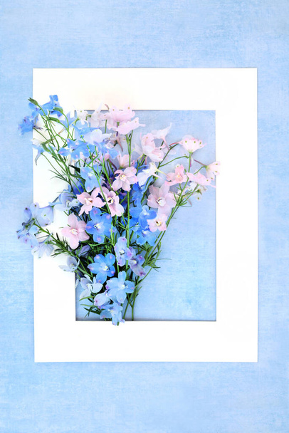 Delphinium bloemstuk zomer achtergrond rand op gevlekte blauwe achtergrond met wit frame. - Foto, afbeelding