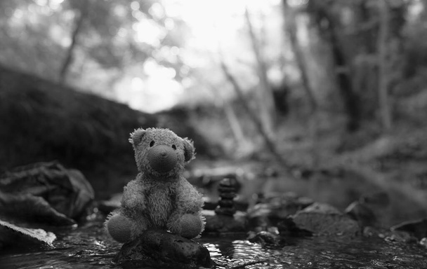 Siyah ve beyaz kayıp oyuncak ayı nehir kenarındaki kayalıklarda oturuyor, yalnız ve üzgün yüzlü ayı bebek ormanda yalnız başına oturuyor, kayıp oyuncak, yalnızlık, uluslararası kayıp çocuklar günü konsepti - Fotoğraf, Görsel