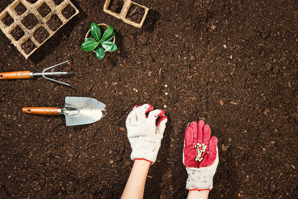 Gardening tools on fertile soil texture background seen from above, top view. Gardening or planting concept. Working in the spring garden. Flat lay mockup with border composition - Foto, imagen